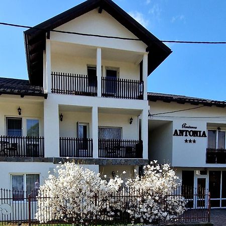 Pensiunea Antonia Vatra Dornei Buitenkant foto