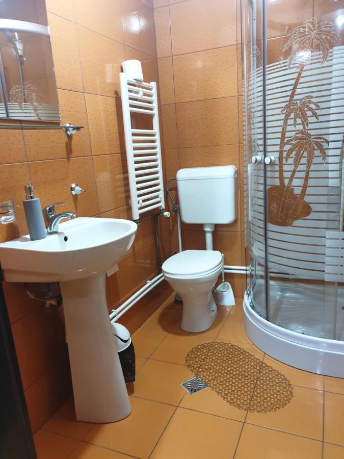 Pensiunea Antonia Vatra Dornei Buitenkant foto
