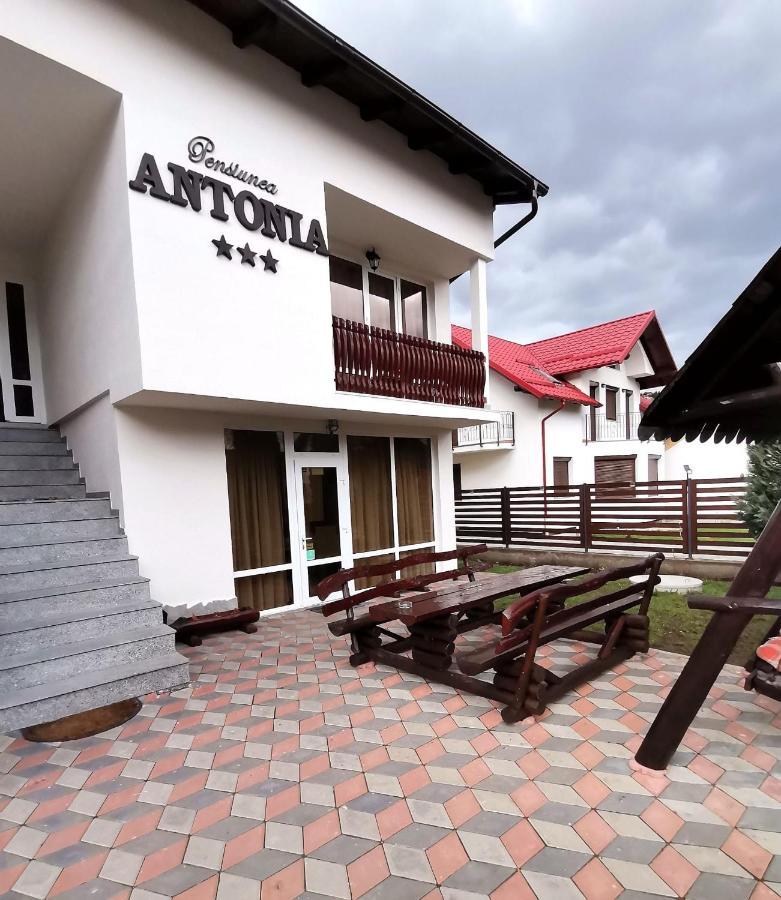 Pensiunea Antonia Vatra Dornei Buitenkant foto