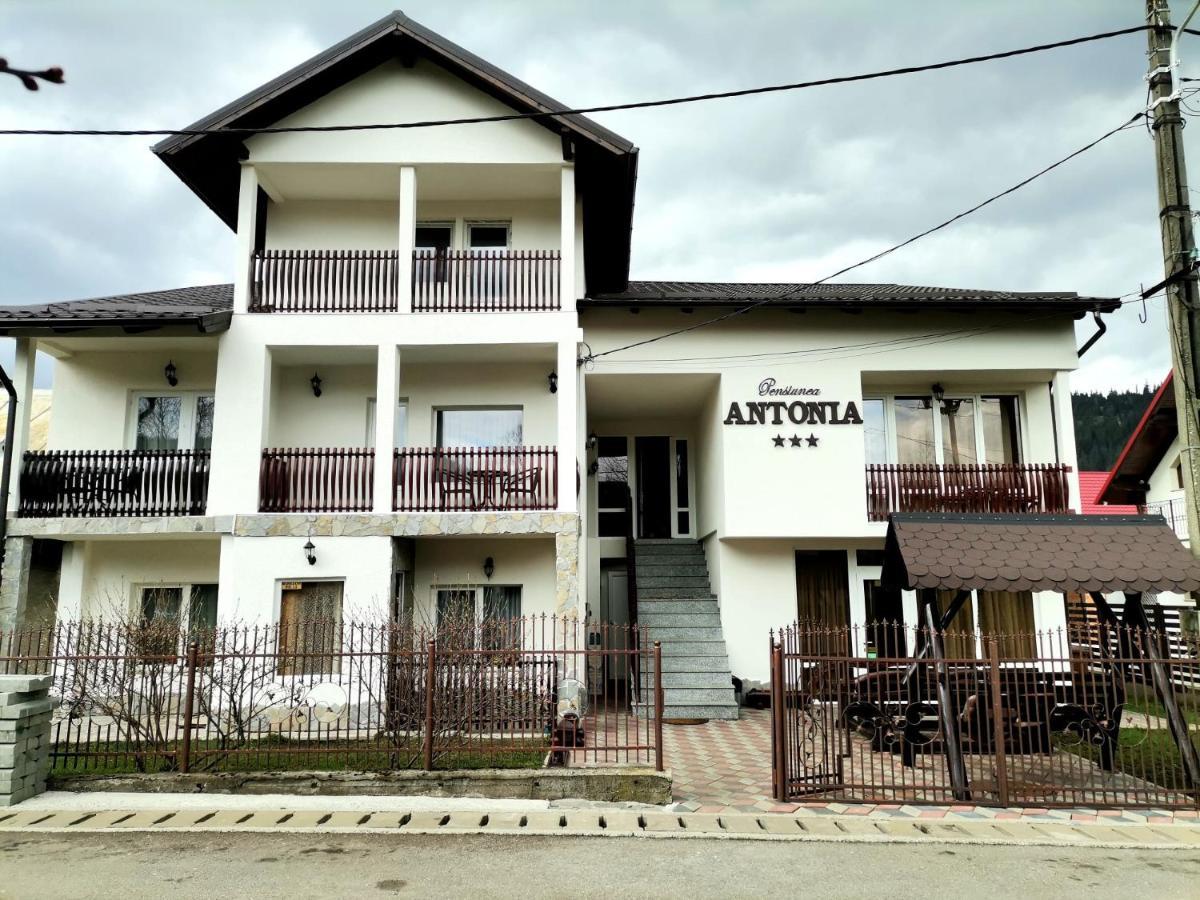 Pensiunea Antonia Vatra Dornei Buitenkant foto