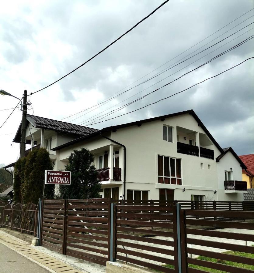 Pensiunea Antonia Vatra Dornei Buitenkant foto