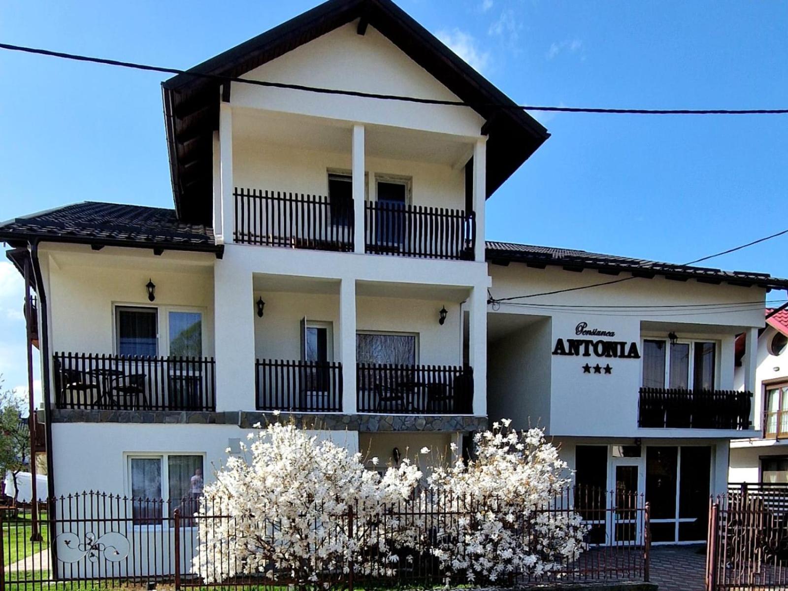 Pensiunea Antonia Vatra Dornei Buitenkant foto