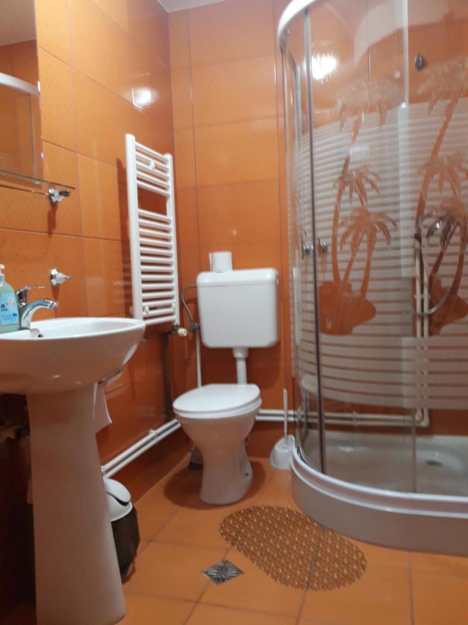 Pensiunea Antonia Vatra Dornei Buitenkant foto